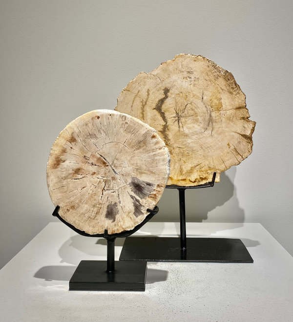 Figura/Escultura de tronco fosilizado (tamaño pequeño). Piedra natural. Pieza única